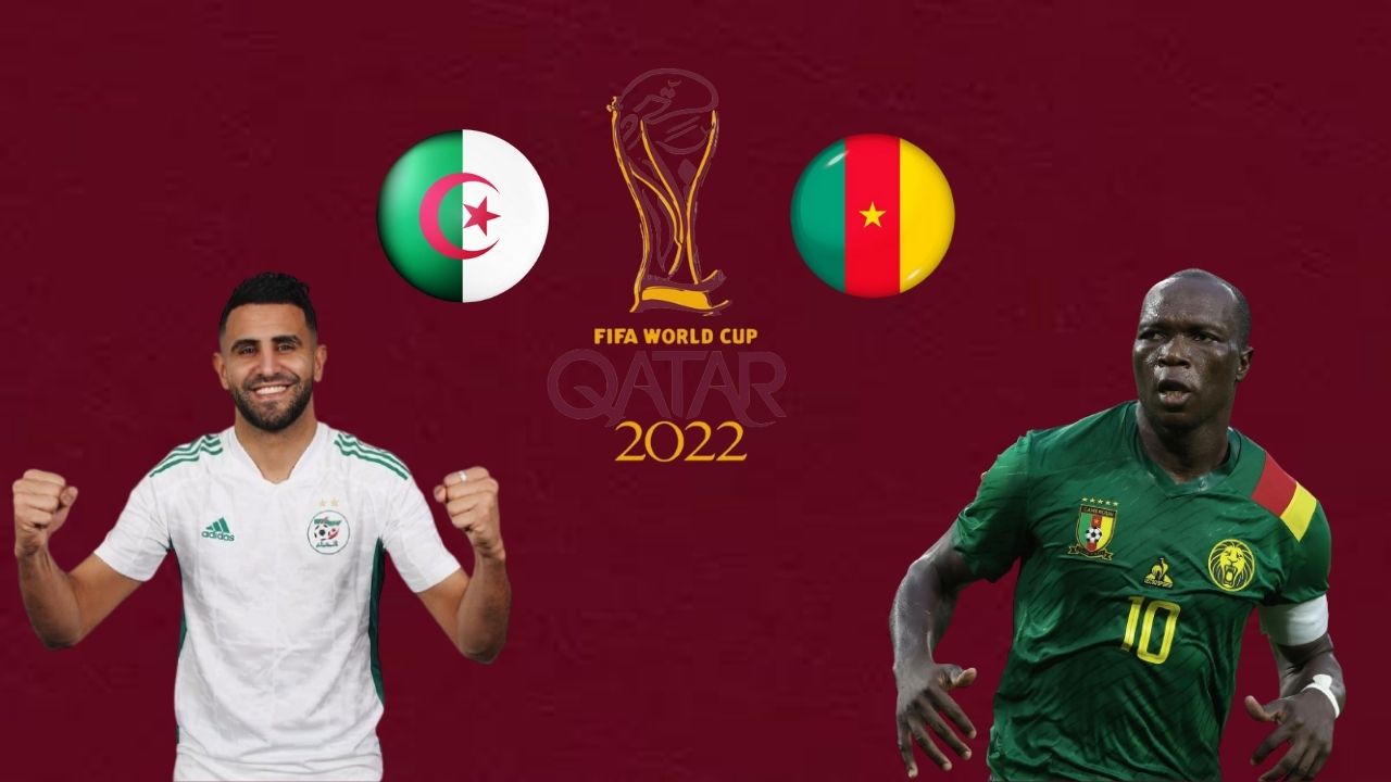AlgérieCameroun Comment suivre le match en direct — Nticdz